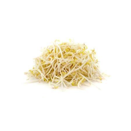 Yellow Bean Sprouts UAE  